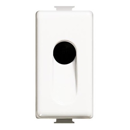 Tasto falso polo 1 Modulo forato bticino matix AM5009