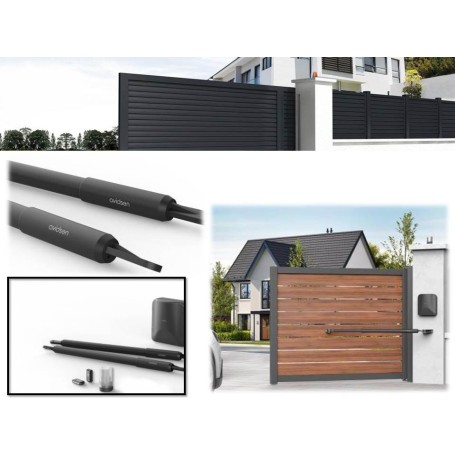 kit apricancello 2 ante Avidsen cancello elettrico FAI DA TE