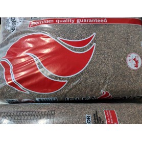 nocciolino oliva 20kg in offerta