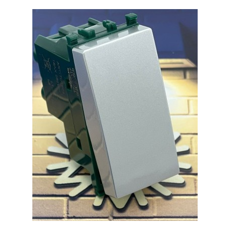 Interruttore silver serie T2 Tot Electric