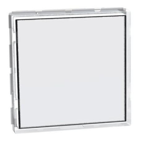 Pulsante targa portanome MatixGo Bticino1P 3A 250Vacm Illuminato J4040