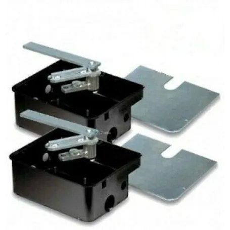 Cassa di fondazione coppia Came per cancello interrato 001U1985