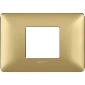 Placca 2 moduli centrali titanium scatola rotonda Bticino...