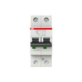 Interruttore magnetotermico ABB 2 moduli 40A 1 + N S598439