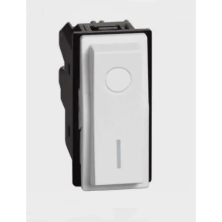 Interruttore Bipolare 16A compatibile con Bticino Living Now marca Biesse