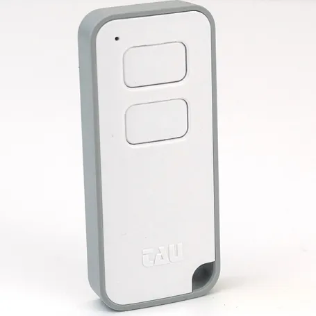 Telecomando Tau 250M-2RP Rolling code