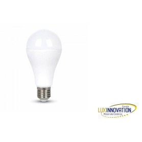 Lampada a led15W E27