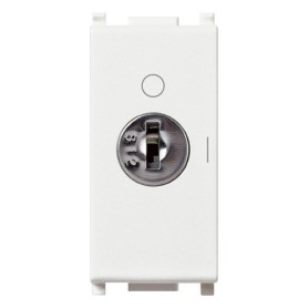 Interruttore 2P 16AX + chiave bianco Vimar plana 14083