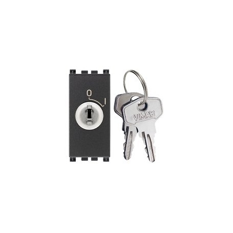 Interruttore 2P 16AX+ chiave grigio Vimar Arkè 19083