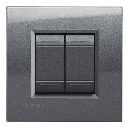 Placca 2 posti Acciaio Bticino Living LNA4802AC