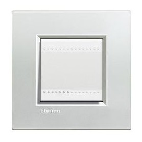 Placca 2 posti Argento Bticino Living LNA4802AG