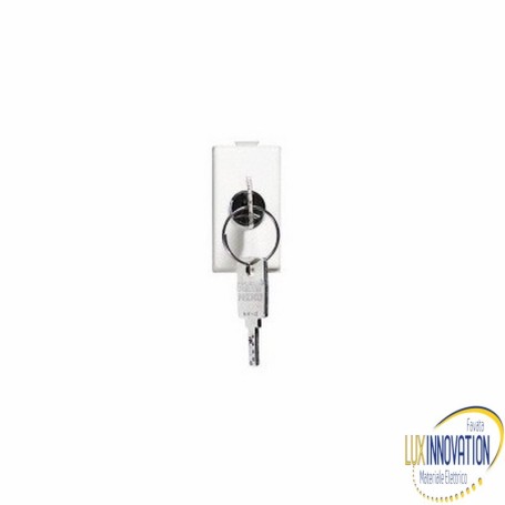  Interruttore Bipolare A Chiave  16A Serie Civili Bticino Matix 